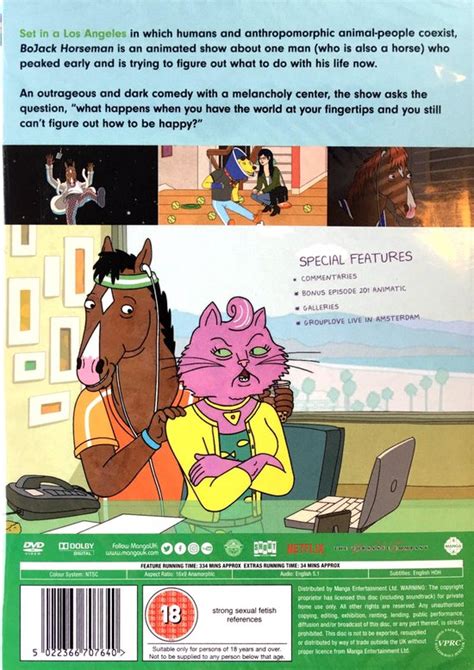 bojack dvd|More.